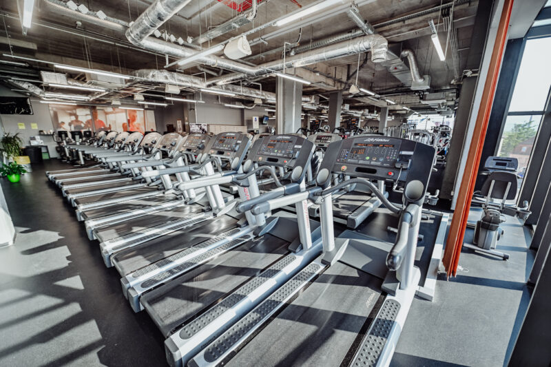 Bieżnie w strefie cardio Well Fitness Jelenia Góraprzestrzeń ze sprzętem do treningu siłowego – Pasaż Grodzki