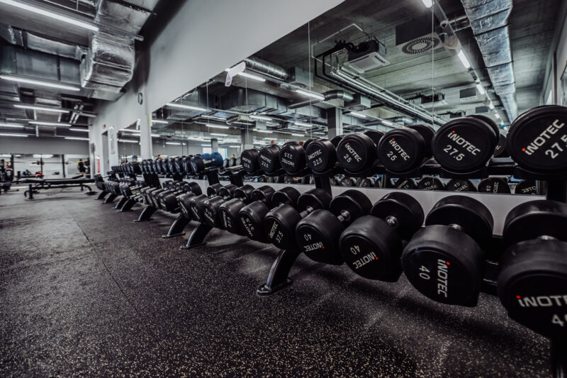 Strefa wolnych ciężarów z hantlami i sztangami w klubie fitness w Jeleniej Górze