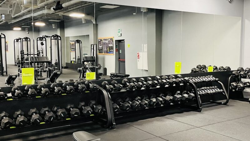 Sala z lustrem oraz hanlami do ćwiczeń na wolnych ciężarach.