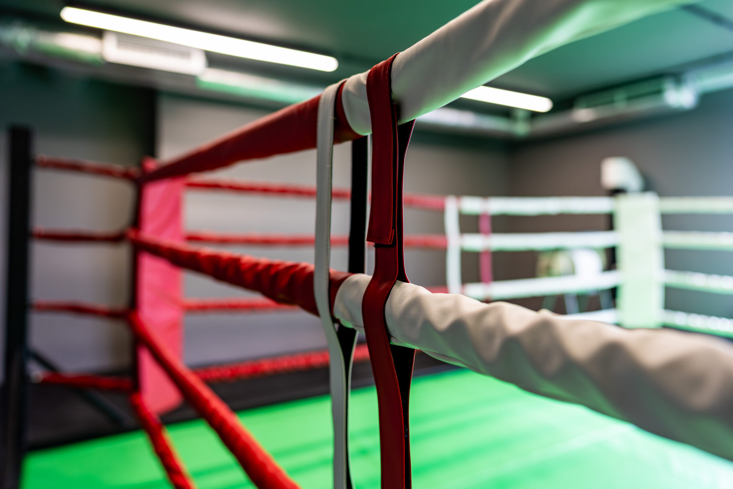 strefa fight well fitness