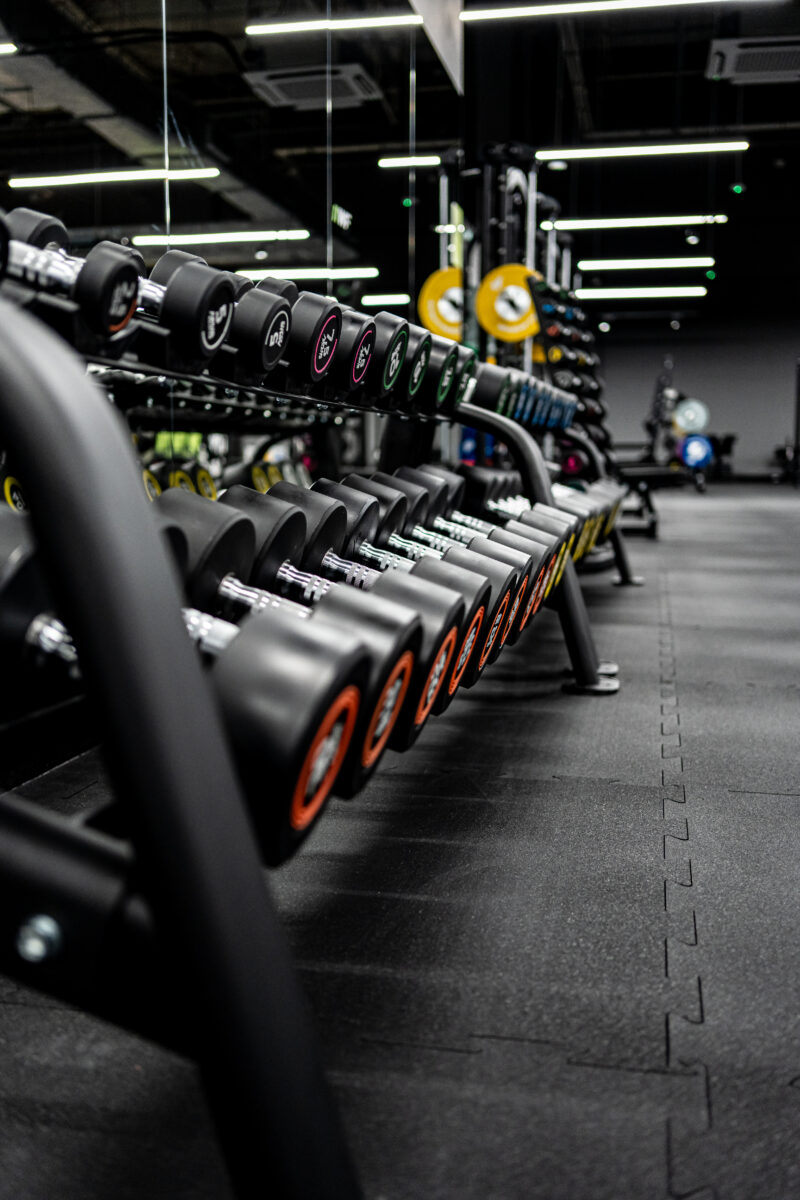 Hantle do treningu siłowego w Well Fitness